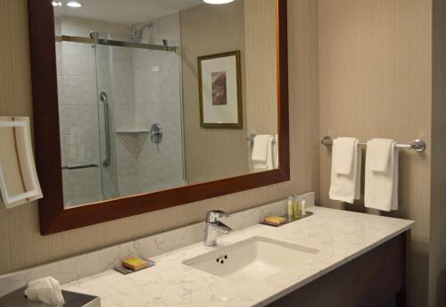 尼亚加拉瀑布希尔顿逸林瀑布景观Spa度假酒店-尼亚加拉大瀑布的一间带水槽、淋浴和镜子的浴室
