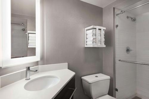 席勒公园芝加哥奥黑尔国际机场汉普顿酒店的一间带水槽、卫生间和淋浴的浴室