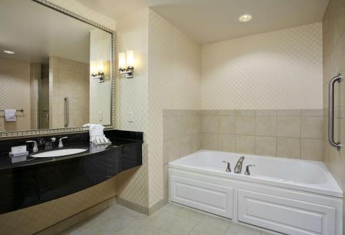 洛克维尔罗克维尔-盖瑟斯堡希尔顿花园酒店的带浴缸、水槽和镜子的浴室