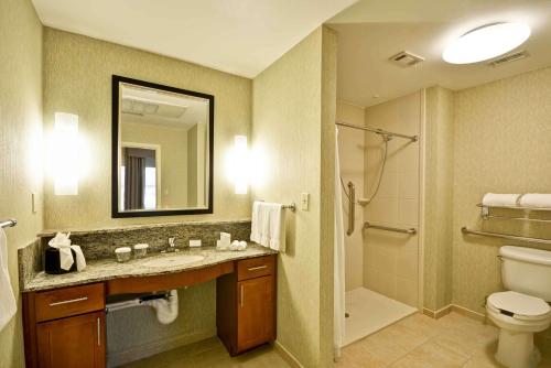 弗赖拉辛达拉斯弗里斯科希尔顿惠庭套房酒店的一间带水槽、卫生间和镜子的浴室