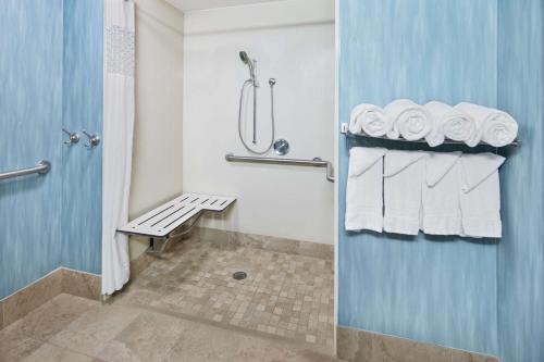 哥伦比亚哥伦比亚I-20克莱姆森路汉普顿酒店的浴室配有淋浴和带毛巾的卫生间。