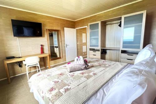三河市Suite Spacieuse 4 étoiles 77m2 vue mer Les Saintes的一间卧室配有一张床、一张书桌和一台电视。