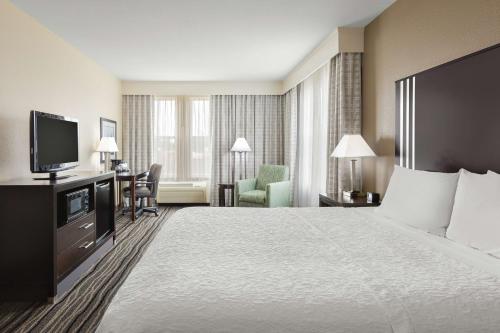 山景城汉普顿山景套房酒店的酒店客房设有一张大床和一台电视。