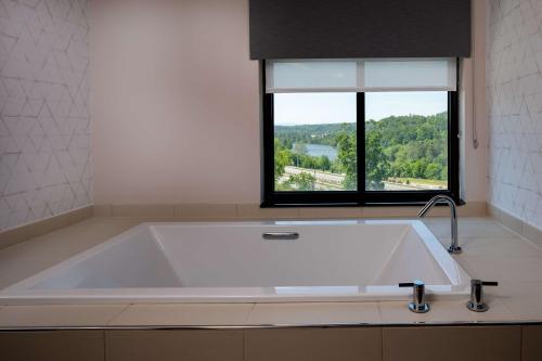 阿什维尔阿什维尔比尔特莫公园希尔顿酒店的带窗户的浴室设有大浴缸