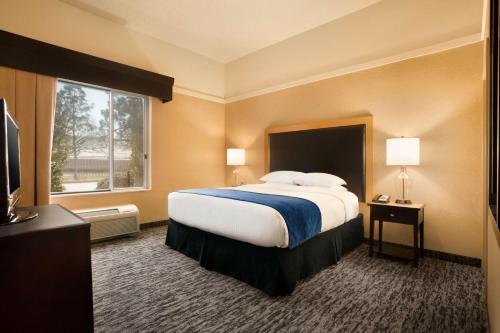 俄克拉何马城俄克拉荷马城机场希尔顿逸林酒店的一间设有大床和窗户的酒店客房