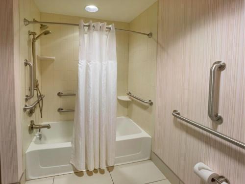 布法罗布法罗市中心希尔顿花园酒店的浴室配有淋浴帘和浴缸。