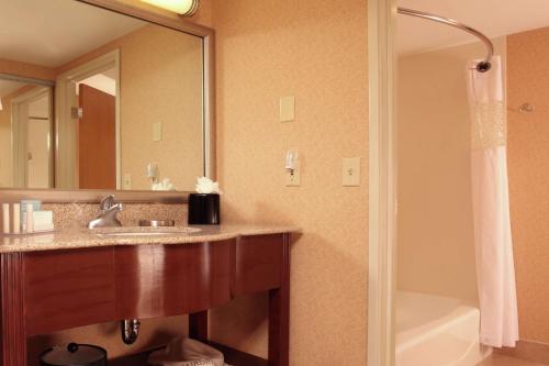 斯波坎Hampton Inn Spokane Airport的浴室配有盥洗盆、镜子和浴缸