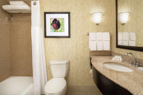 弗雷德里克弗雷德里克希尔顿花园酒店的浴室配有卫生间、盥洗盆和浴缸。