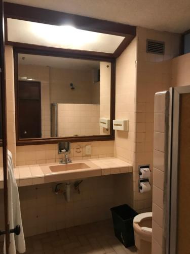 阿卡普尔科Hotel las hamacas的一间带水槽、镜子和卫生间的浴室