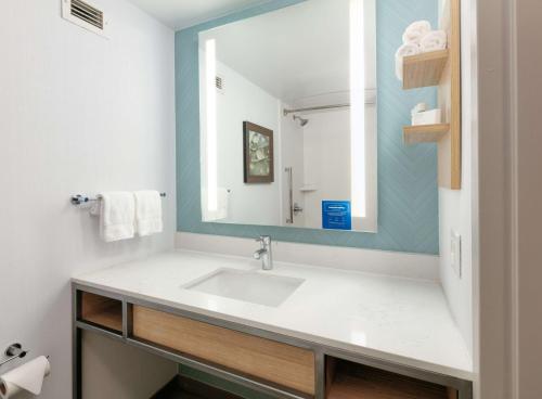 福特希尔兰赫东艾尔文/森林湖希尔顿花园酒店的一间带水槽和镜子的浴室