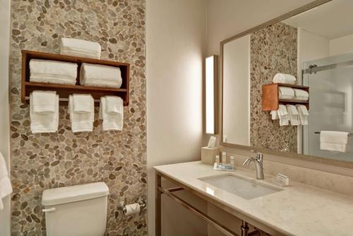 坦培亚利桑那州菲尼克斯/坦佩亚利桑那州立大学地区希尔顿花园酒店的一间带卫生间、水槽和镜子的浴室