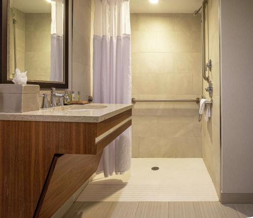 匹兹堡格林豪泰希尔顿逸林酒店绿树店的一间带水槽和淋浴的浴室
