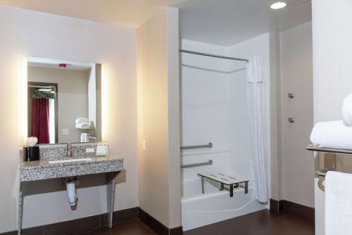 哥伦布哥伦布北极星希尔顿惠庭套房酒店的一间带水槽和淋浴的浴室