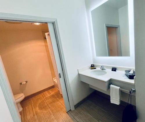 戴维斯大学公园旅馆&套房酒店的一间带水槽和镜子的浴室