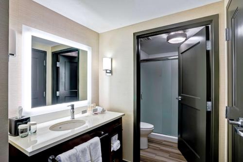 布鲁克林Homewood Suites by Hilton Boston Brookline-Longwood Medical的一间带水槽、镜子和卫生间的浴室