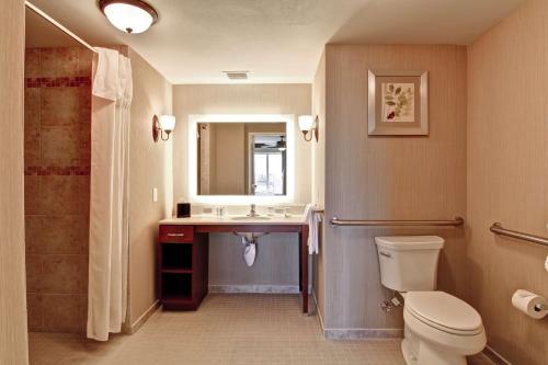 里奇兰里奇兰希尔顿惠庭套房酒店的一间带卫生间、水槽和镜子的浴室