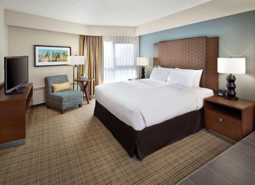 里贾纳里贾纳希尔顿逸林酒店及会议中心的酒店客房设有一张大床和一台电视。