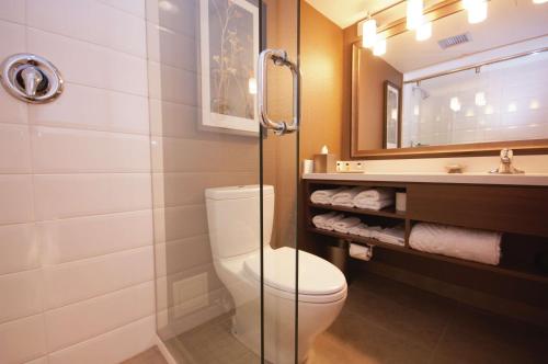 里贾纳里贾纳希尔顿逸林酒店及会议中心的一间带卫生间和水槽的浴室