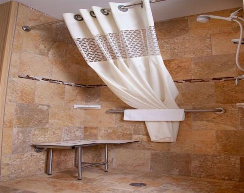 迪金森迪金森汉普顿套房酒店的浴室内配有淋浴帘。