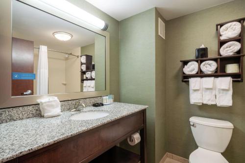 亨廷顿西弗吉尼亚亨廷顿大学区汉普顿酒店 的一间带水槽、卫生间和镜子的浴室