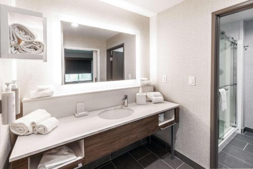 峡谷城Hampton Inn & Suites Canyon, Tx的一间带水槽和镜子的浴室