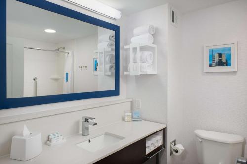 巴特尔斯维尔巴特尔斯维尔希尔顿恒庭酒店的一间带水槽和镜子的浴室