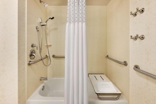 哥伦比亚Hampton Inn Columbia-Downtown Historic District的带淋浴帘和卫生间的浴室