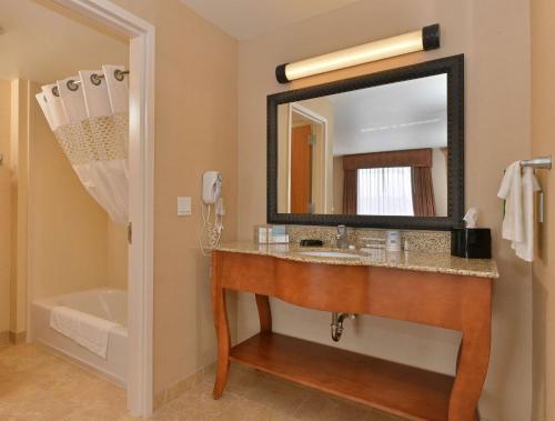 布法罗布法罗汉普顿套房酒店的一间带水槽和镜子的浴室