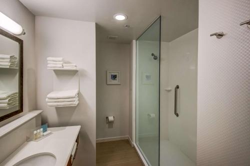 普兰特城Hampton Inn Plant City的一间带玻璃淋浴和水槽的浴室