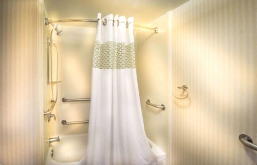 华盛顿华盛顿希尔顿欢朋酒店的带淋浴和浴帘的浴室