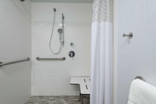 华尔道夫华尔道夫汉普顿酒店的带淋浴和浴帘的浴室