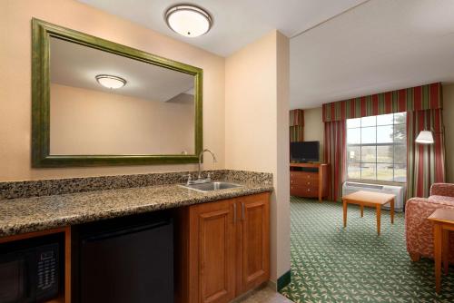 威廉斯堡威廉斯堡汉普顿酒店及套房－市中心的酒店客房设有水槽和镜子