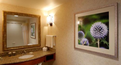 锡达福尔斯Hilton Garden Inn Cedar Falls Conference Center的一间带水槽的浴室和墙上的照片