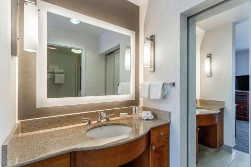 奥尔巴尼奥尔巴尼希尔顿惠庭套房酒店的一间带水槽和大镜子的浴室