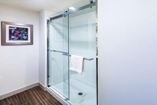 北小石城北小石城麦凯恩商场汉普顿酒店 的浴室设有玻璃门淋浴