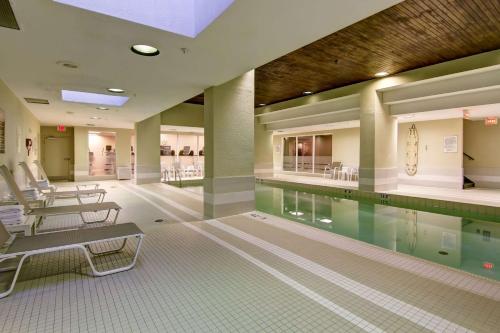 多伦多多伦多市中心希尔顿逸林酒店的一座游泳池,四周摆放着椅子
