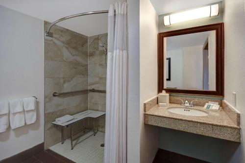 迈尔斯堡迈尔斯堡希尔顿花园酒店的浴室配有盥洗盆和带镜子的淋浴