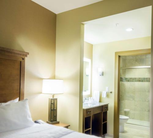 比林斯比林斯希尔顿惠庭套房酒店的一间酒店客房 - 带一张床和一间浴室