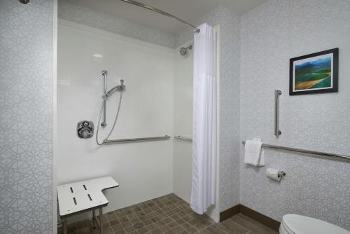 伯利Hampton Inn Burley的一间带卫生间和淋浴的浴室