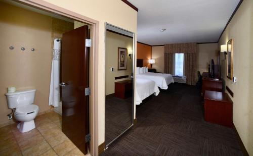 塞金塞甘希尔顿恒庭酒店的酒店客房设有一张床和一个卫生间。