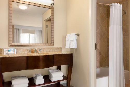 斯特灵汉普顿华盛顿杜勒斯国际机场酒店的一间带水槽、镜子和淋浴的浴室