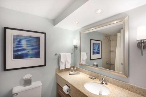 梅尔维尔长岛/亨廷顿希尔顿酒店的一间带水槽和镜子的浴室