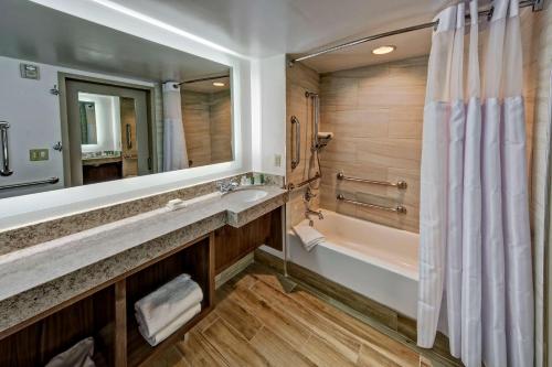 阿尔科诺克斯维尔机场希尔顿酒店的带浴缸、水槽和淋浴的浴室