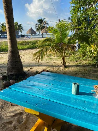 珀拉什奇亚Anda Di Hows Hostel的海滩上的蓝长椅,棕榈树