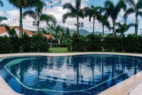 利帕3 Peaks Resort & Boutique Hotel的一座棕榈树环绕的游泳池