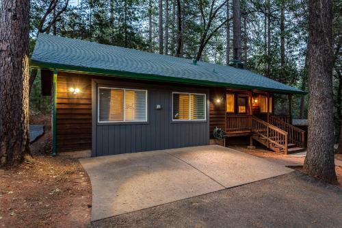 普莱瑟维尔Nature's Nook - Blissful Cabin in the Woods的树林中的小小屋,有树
