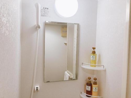 金泽Dormy Inn Kanazawa Natural Hot Spring的一间带镜子和水槽的浴室