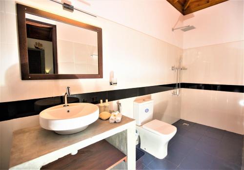 希克杜沃Sea Shell Villa Hikkaduwa 2 Separate Cabanas Ocean Front Villa的一间带水槽、卫生间和镜子的浴室