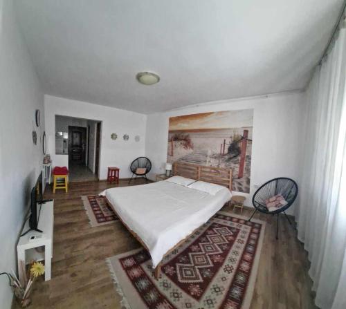 克拉约瓦Sunny Place Garsoniera -posibilitate self check in的卧室配有一张床,墙上挂有绘画作品