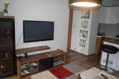 比亚韦斯托克Żabia Flat的客厅设有壁挂式平面电视。